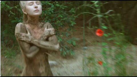 A Letter from the Forest – Luna’s Farewell
